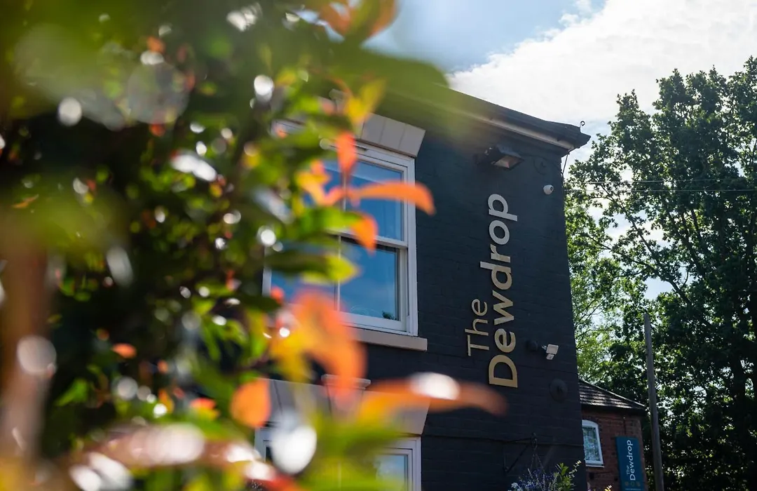 The Dewdrop Inn-1