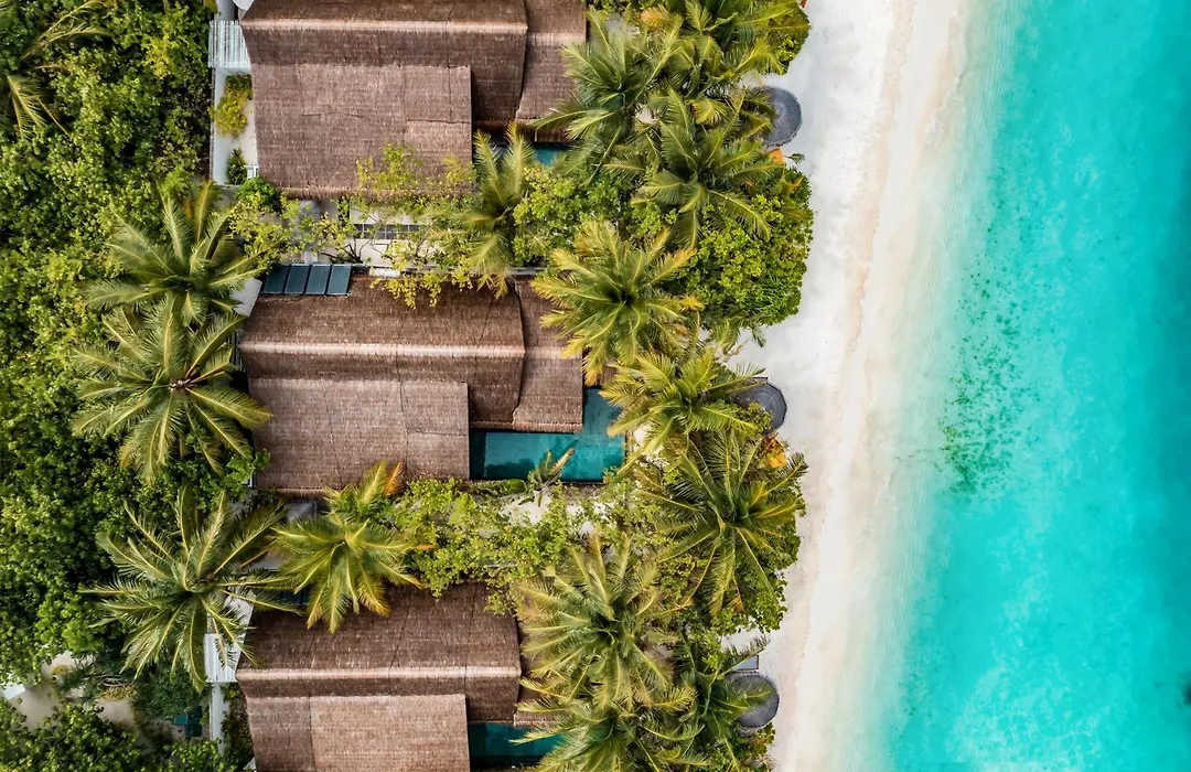 Ozen Life Maadhoo-1