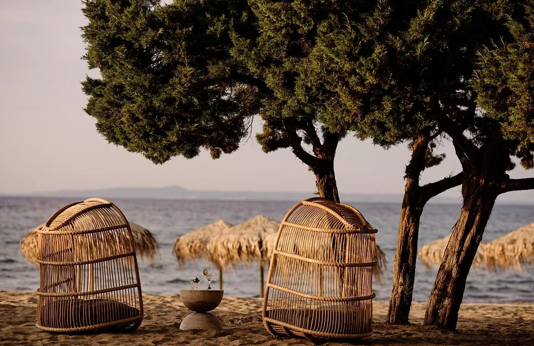 Cove Paros-1
