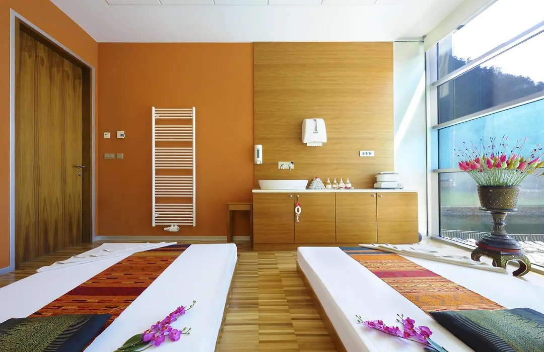Hotel Thermana Park Lasko**** Superior-1