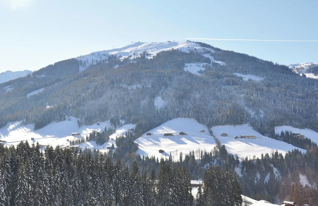 Hotel Alphof Alpbach-1