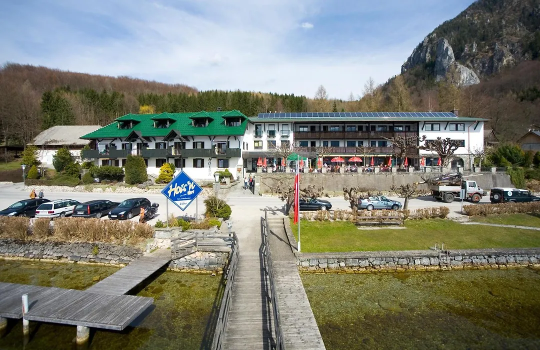 Seegasthof Hois'n Wirt - Hotel mit Wellnessbereich-1