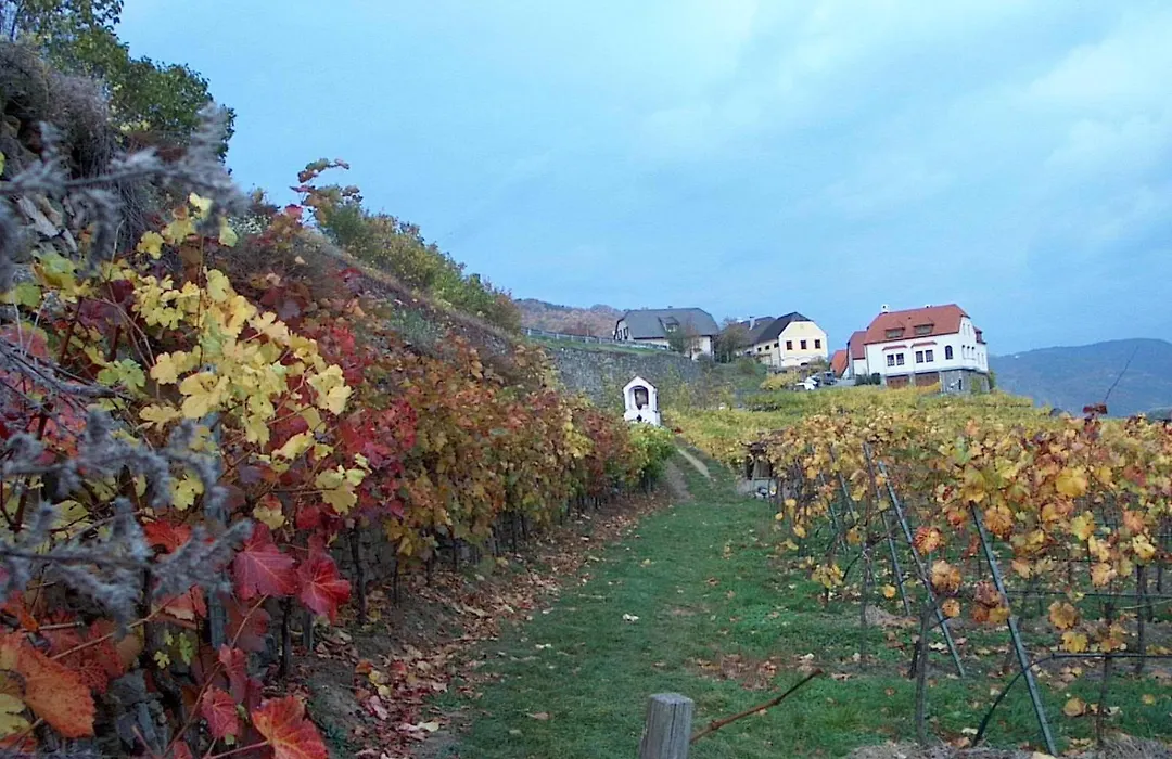 Donau-Rad-Hotel Wachauerhof-1
