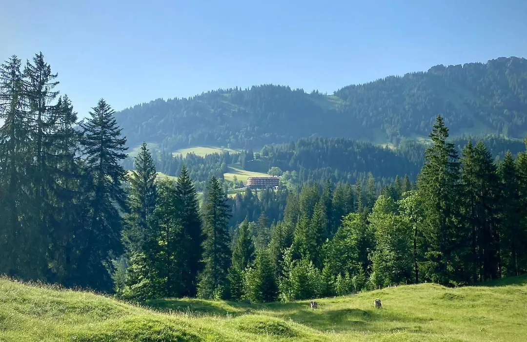 Ruhehotel&Naturresort Rehbach - Adults only-1