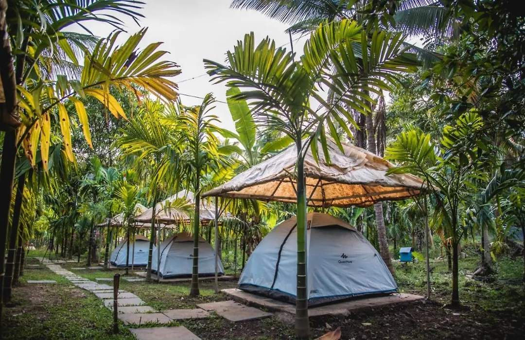 Dandeli Jungle Resort-1