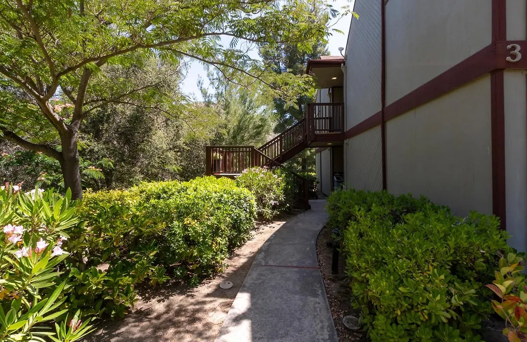 San Diego Country Estates-1