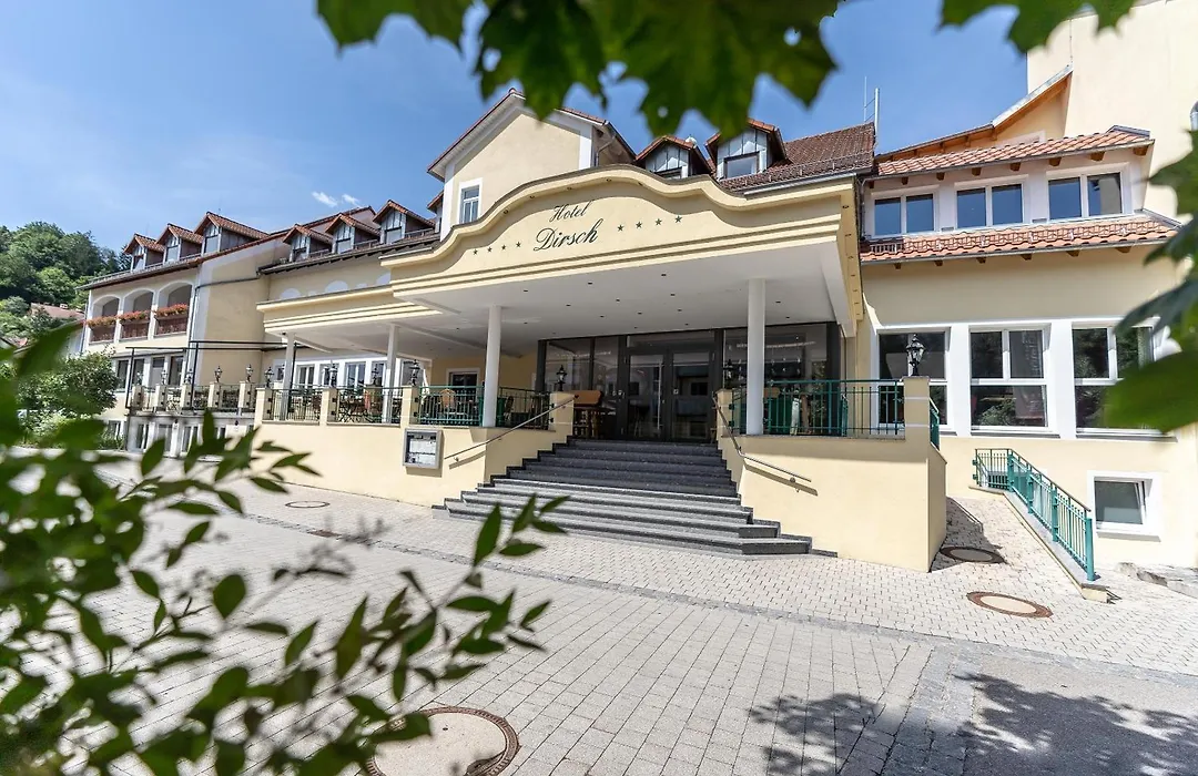 Hotel Dirsch Wellness & Spa Resort-1