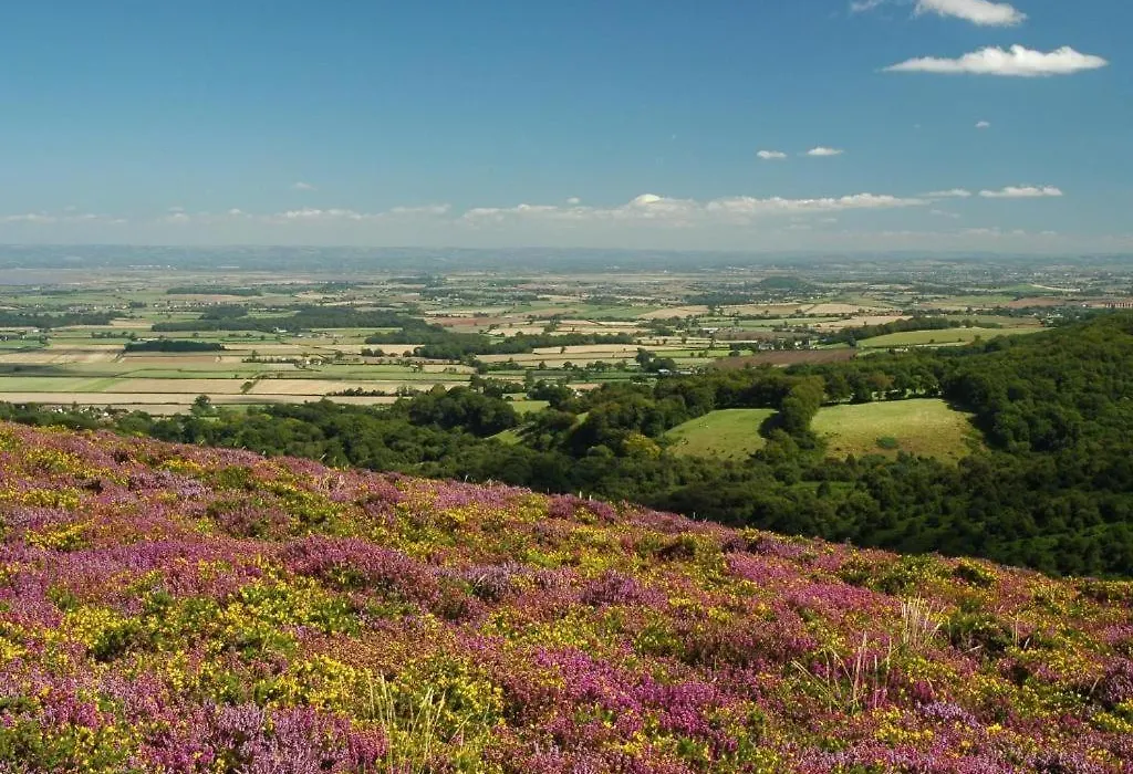Notley Arms Inn Exmoor National Park-1