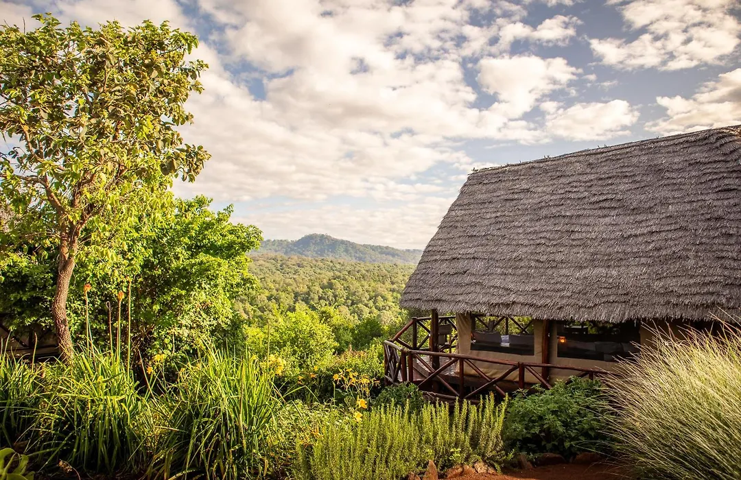 Rhotia Valley Tented Camp-1