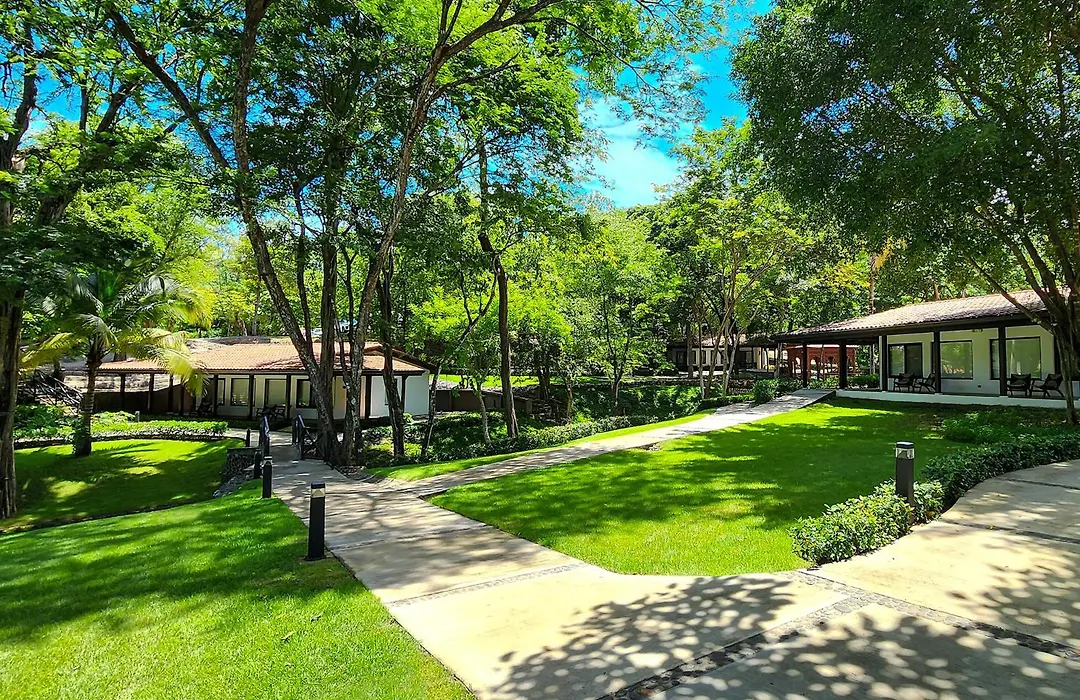Reunion Wellness Resort & Retreats-1