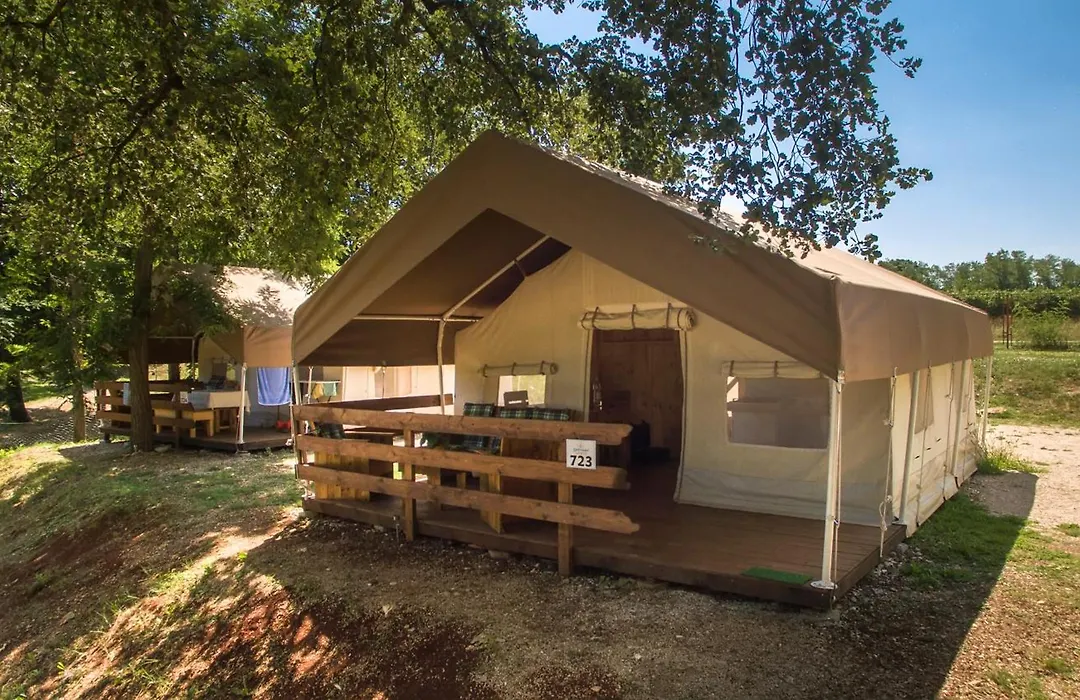 Sunflower Camping-1