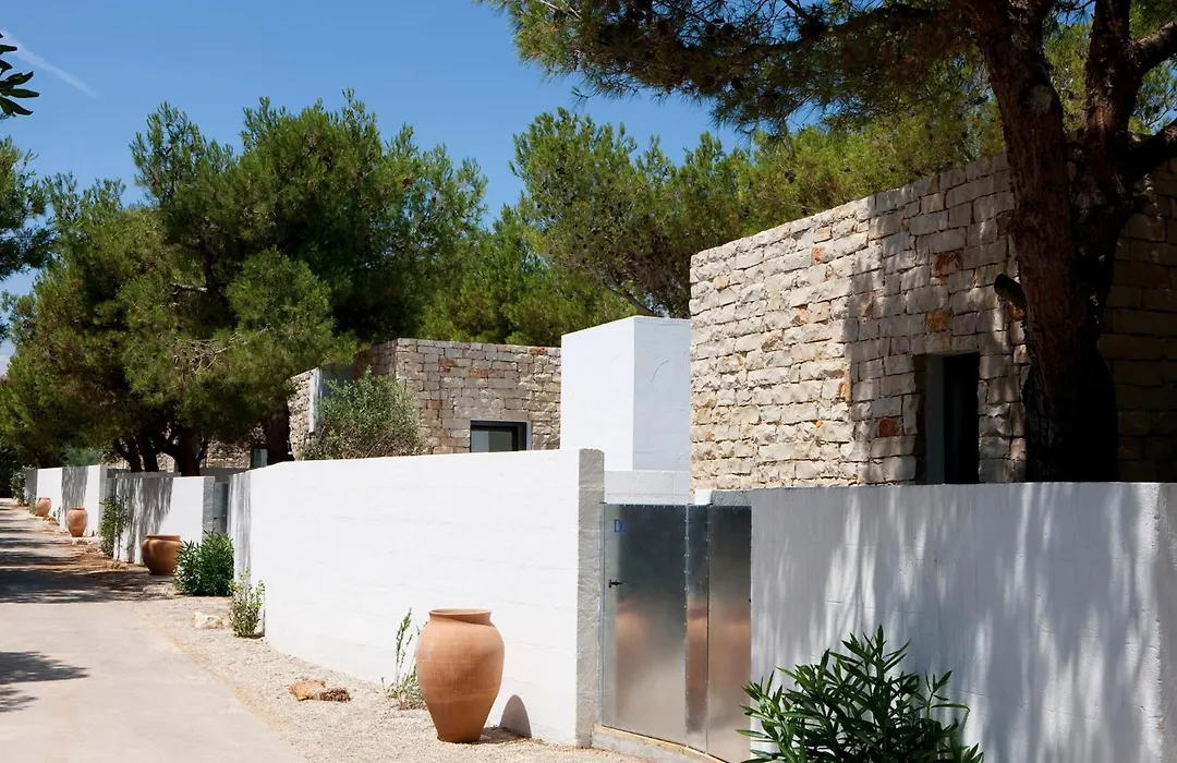 Meditur Puglia-1