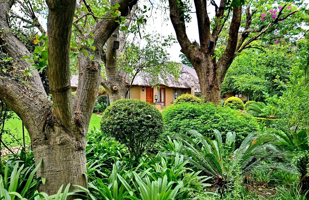 Black Eagle Hotel & Spa-1