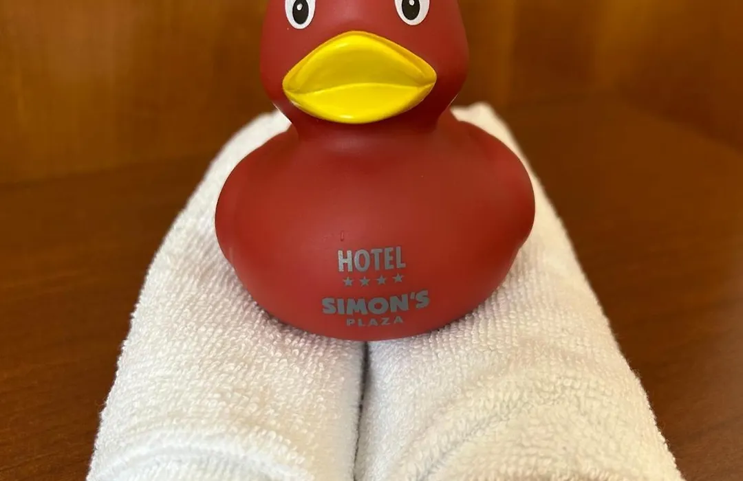Hotel Simon'S Plaza-1