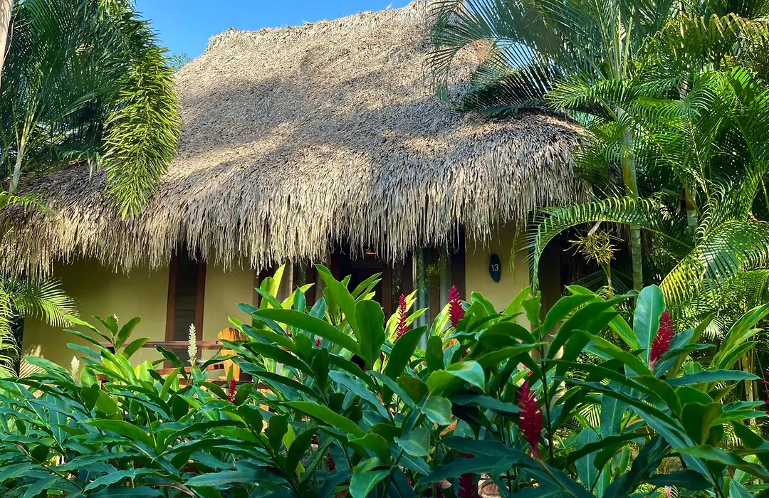 Senda Koguiwa Tayrona Nature Hotel-1