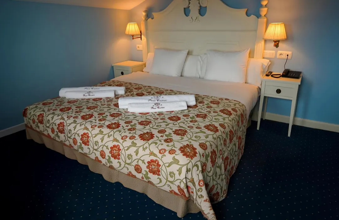 Nuevo Hotel Parque Cabaneros-1