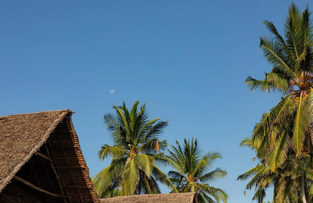 Pole Pole Bungalows-1