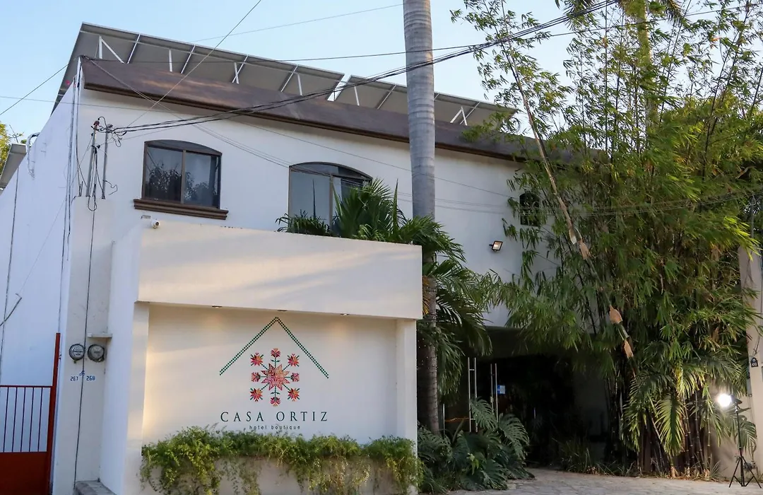 Hotel Casa Ortiz-1
