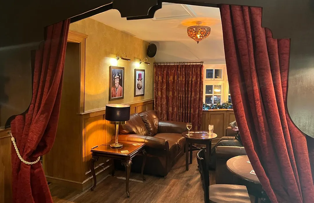The Ivy-1