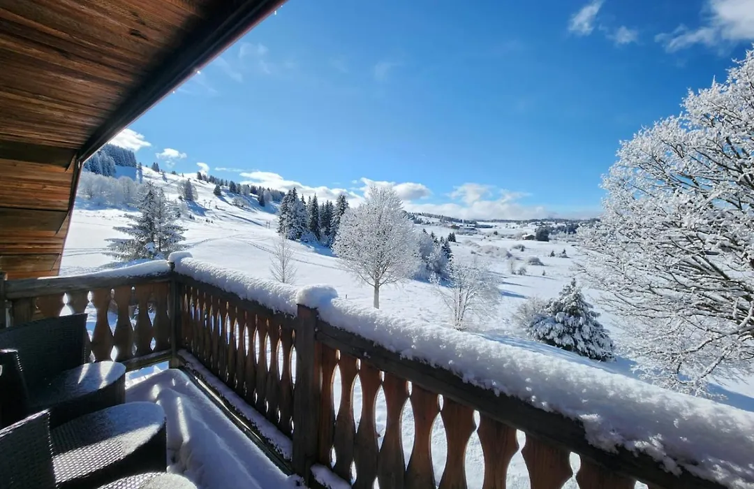 Hôtel Le Manoir des Montagnes-1