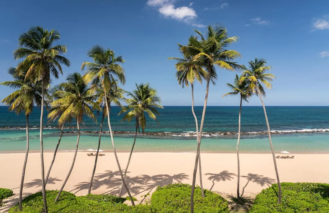 Residences At Dorado Beach, A Ritz Carlton Reserve-1