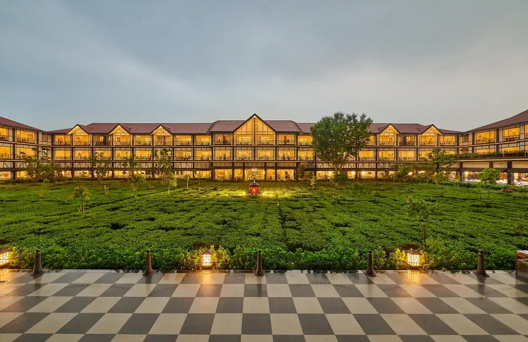 Mayfair Tea Resort-1