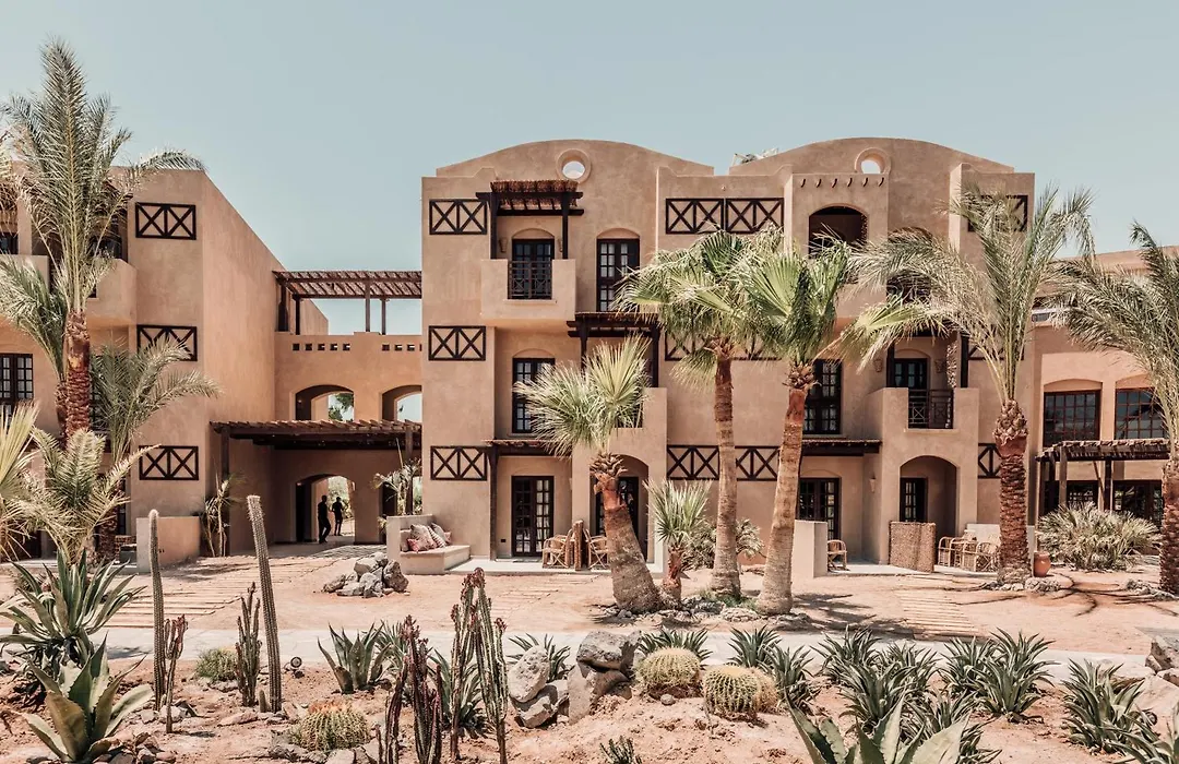 Cook’s Club El Gouna (Adults Only)-1