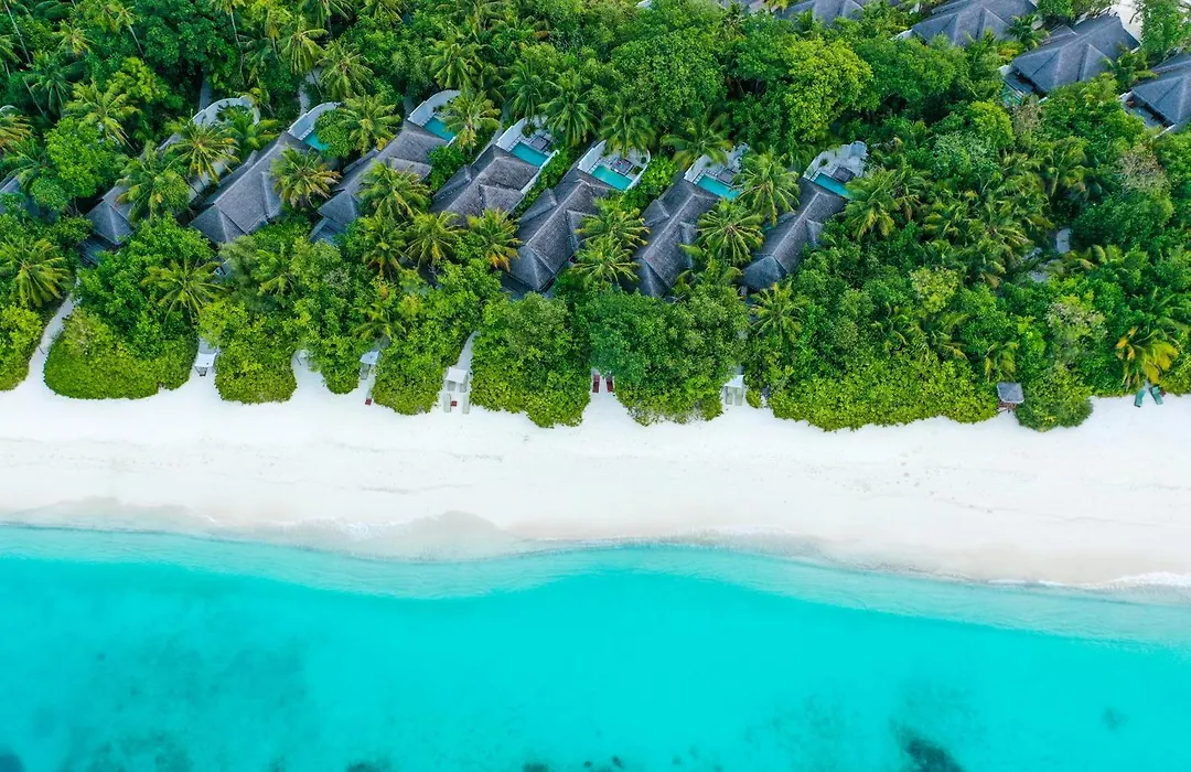 Coco Bodu Hithi - Stay 4 Nights Or More And Enjoy 30 Percent Off Shared Roundtrip Speedboat, Valid For Stays Until 31St August 2026-1