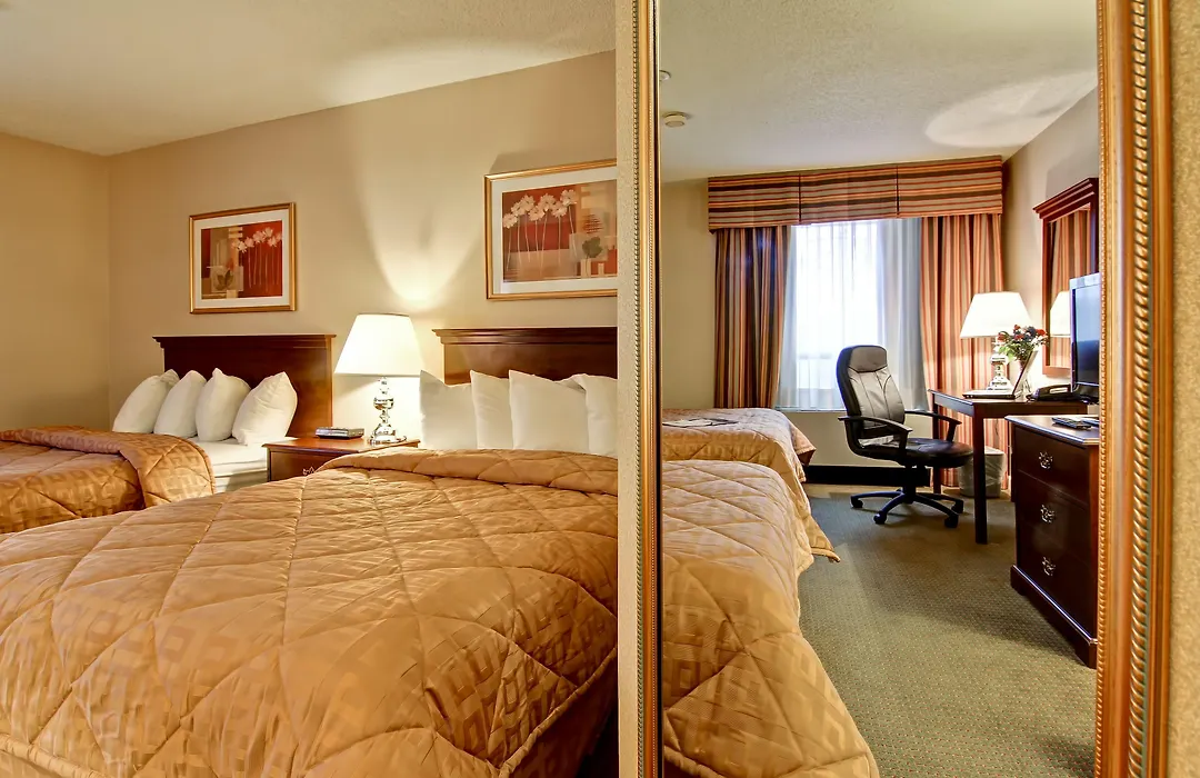 Comfort Inn & Suites-1