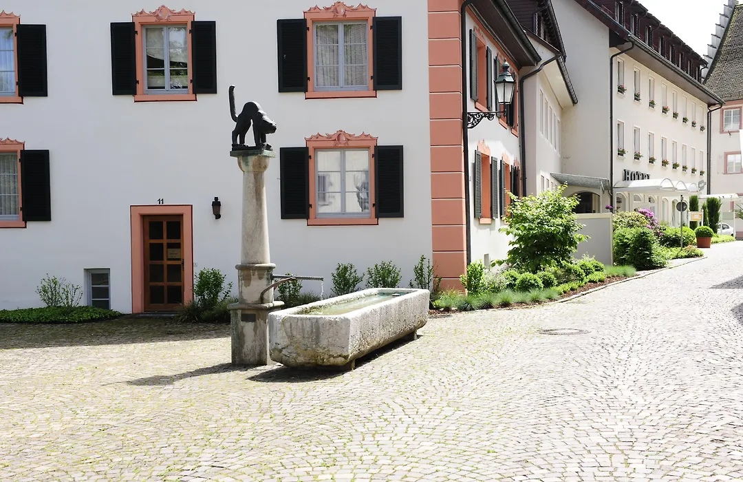 Hotel Goldener Knopf-1
