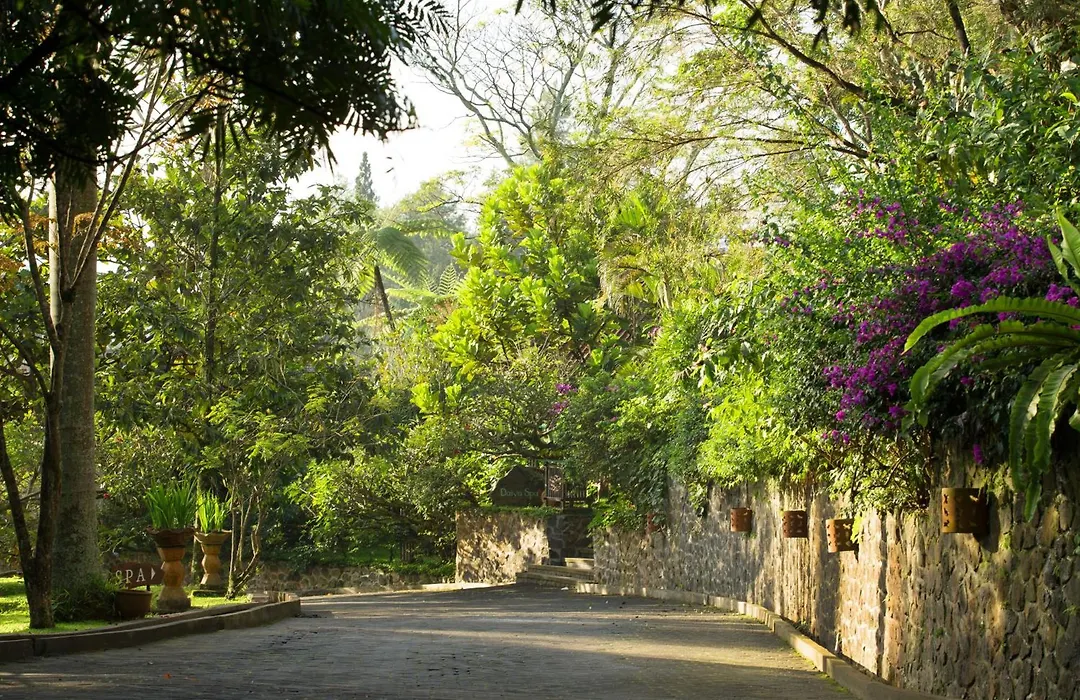 Novus Giri Resort & Spa-1