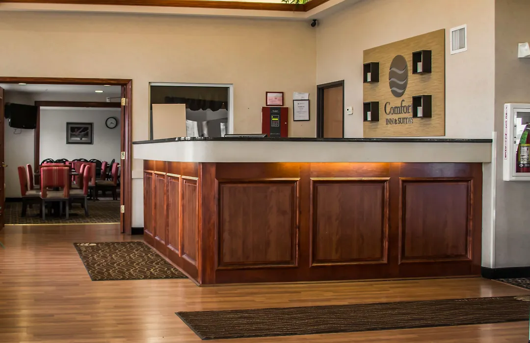 Comfort Inn & Suites Dimondale - Lansing-1
