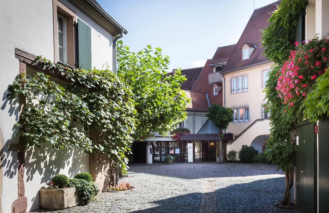 Hotel & Spa A La Cour D'Alsace By Happyculture-1