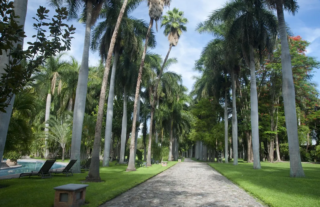 Hacienda San Gabriel de las Palmas-1