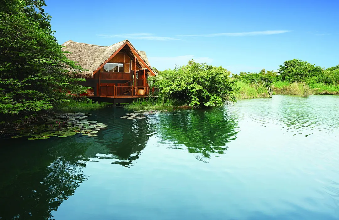 Jetwing Vil Uyana, A Luxury Reserve-1