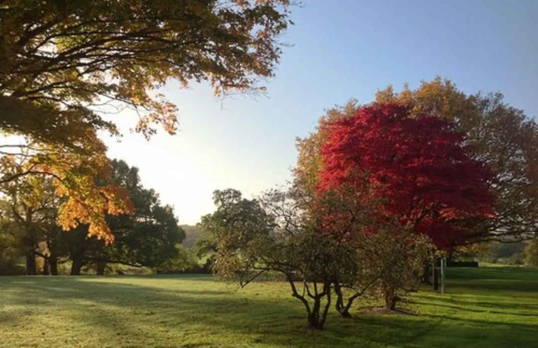 Highfield Park-1