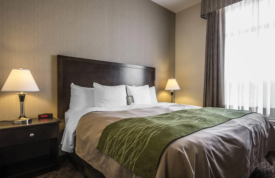 Comfort Inn & Suites-1