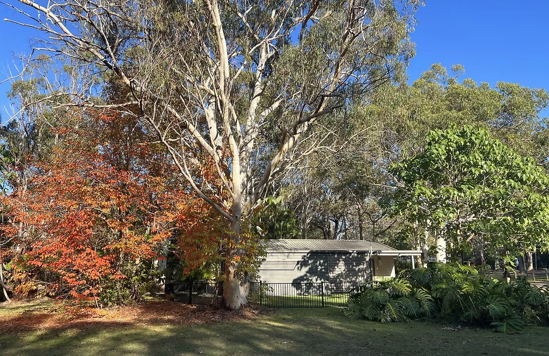 Big4 Noosa North Shore-1