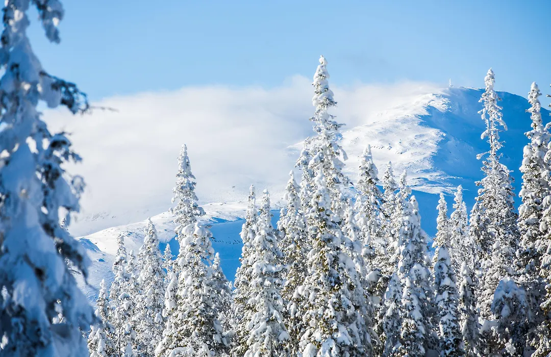 Copperhill Mountain Lodge-1
