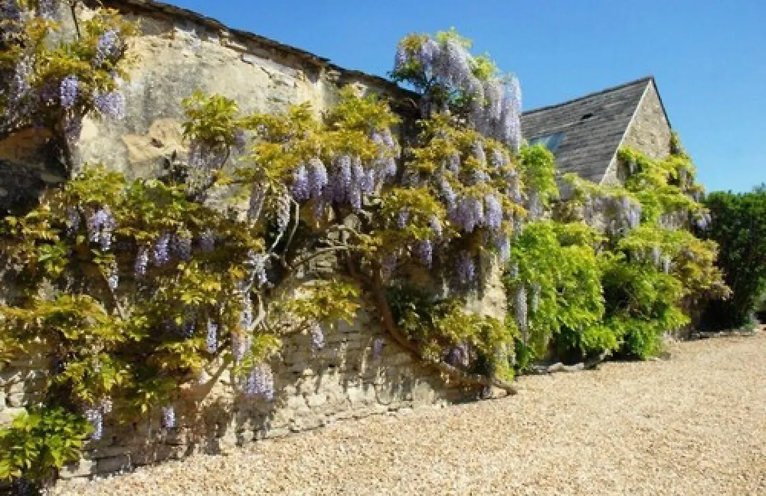 Marlborough Arms-1