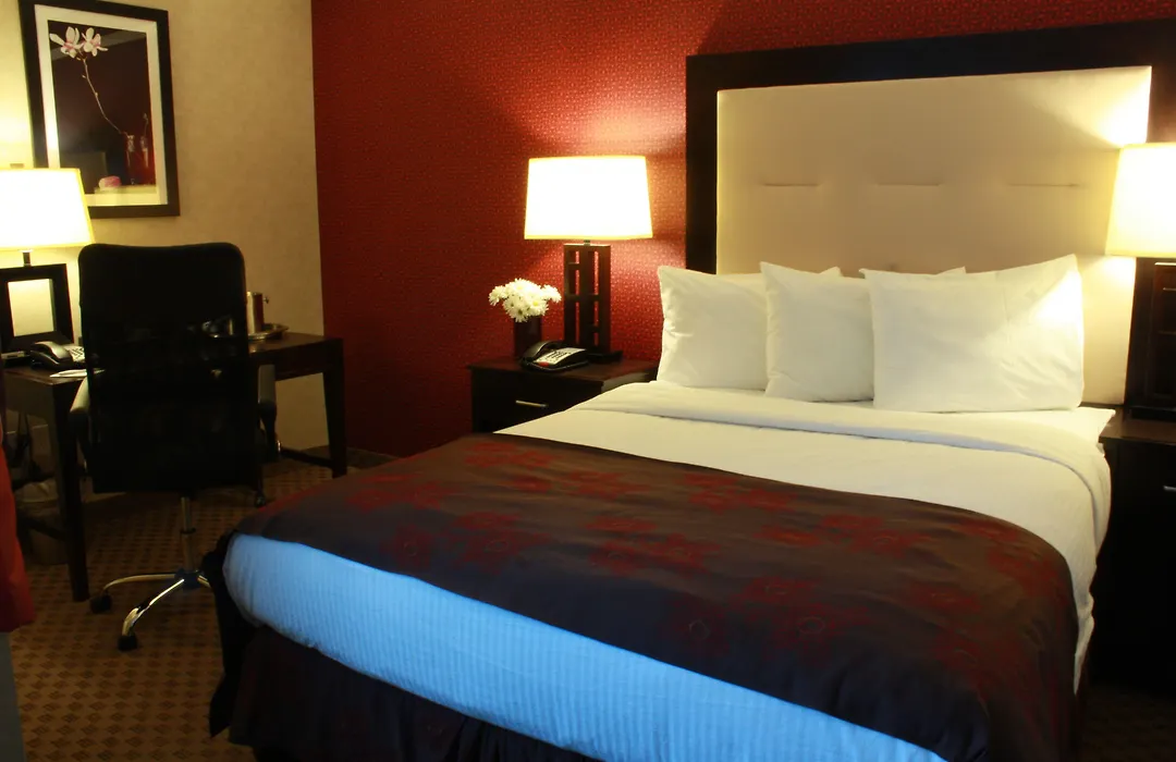 The Lloyd Stamford, Tapestry Collection By Hilton-1