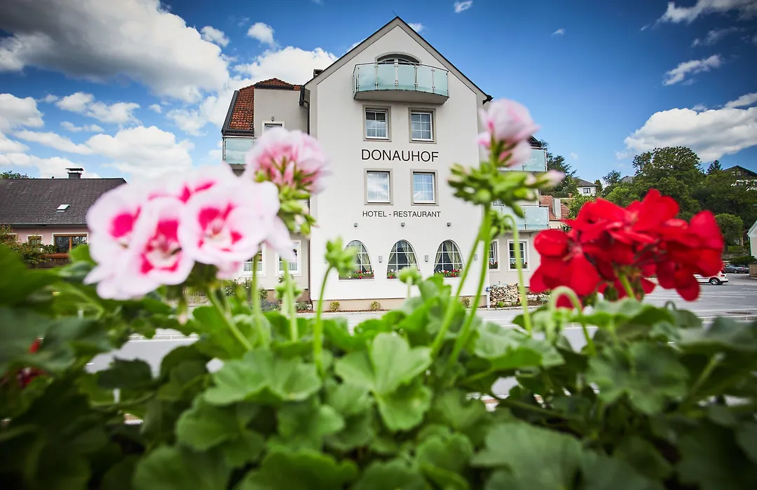 Hotel Donauhof-1