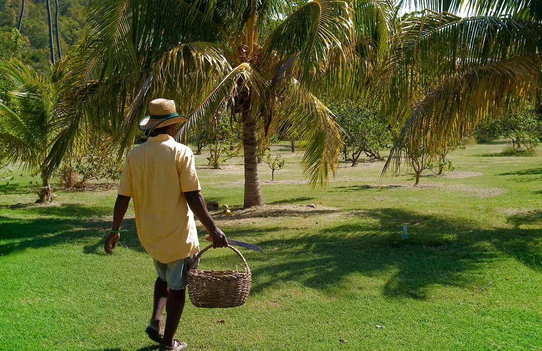 Firefly Estate Bequia-1