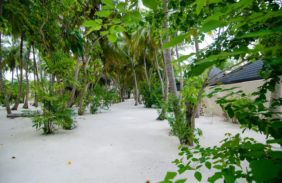 Summer Island Maldives-1