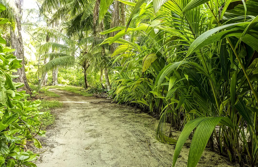 Denis Private Island Seychelles-1