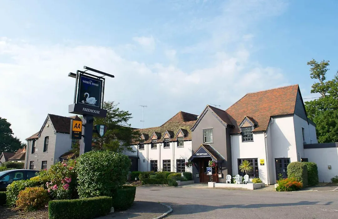 The White Swan-1