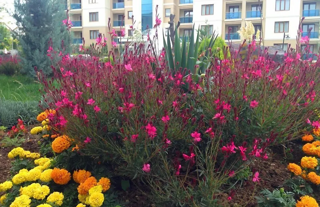 Grand Ozgul Thermal Holiday Village-1