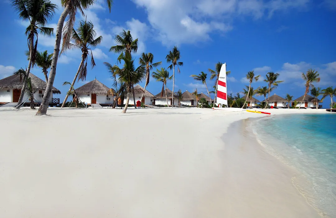 Safari Island-1
