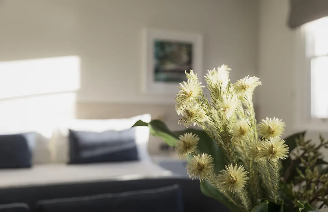 Spicers Potts Point-1