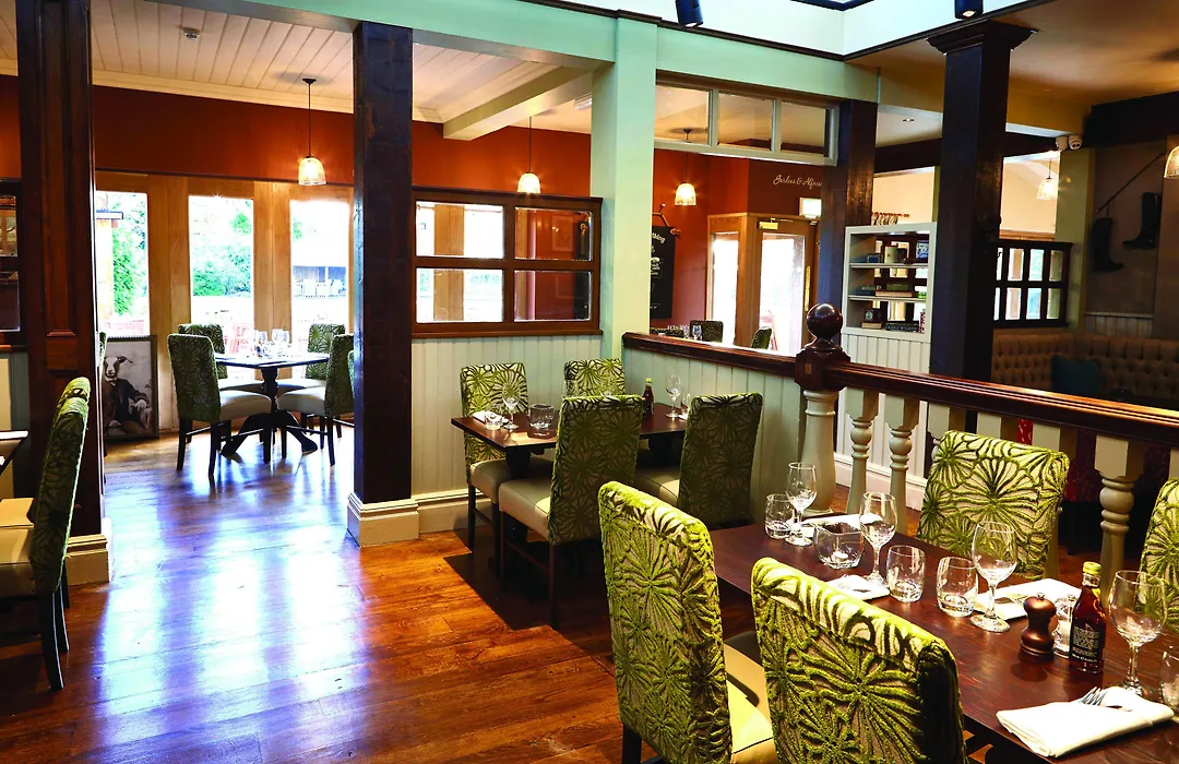 The Golden Pheasant-1